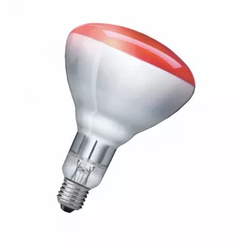 Żarówka na podczerwień Philips 923212043801 250 W 5000 h 230-250 V