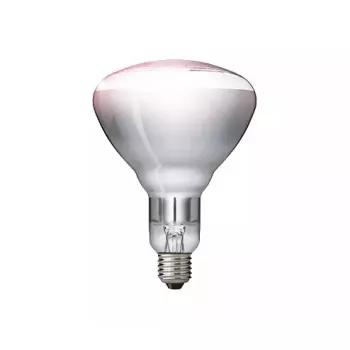 Żarówka na podczerwień Philips 57522725 150 W 5000 h 230-250 V