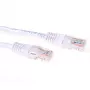 ACT biały kabel krosowy 20 metrów U/UTP CAT6 ze złączami RJ45