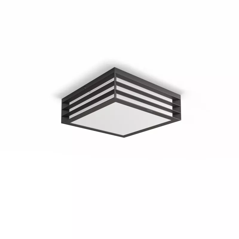 Kinkiet sufitowy Philips myGarden Moonshine 28W E27 bez żarówki, zewnętrzne oświetlenie ścienne, antracyt, aluminium, tworzywa sztuczne, IP44, ogród, patio, II