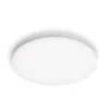 Philips Functional Izso Lampa sufitowa 40 W, LED, 4300 lm, IP20, biała