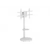 Podstawa podłogowa TECHLY z półką na kółkach do telewizorów LCD/LED/Plazma 37-86 cali Biała