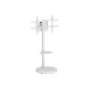 Podstawa podłogowa TECHLY z półką na kółkach do telewizorów LCD/LED/Plazma 37-86 cali Biała