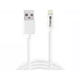SANDBERG 440-94 Kabel SANDBERG USB>Lightning 2M AppleApproved