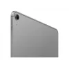 Tablet Apple iPad Air 13 cali M4 Wi‑Fi + Cellular 1 TB Gwiezdna szarość
