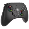 Gamepad Deltaco GAM-198 czarny — Bluetooth i USB (Type-C) do Nintendo Switch, Switch 2, Switch OLED, Android, PC