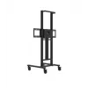Avtek TS Electric Stand Light zmotoryzowany stojak ekspozycyjny (1MV145)