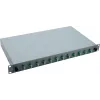 Helos 375552 szafa rack 1U Szary