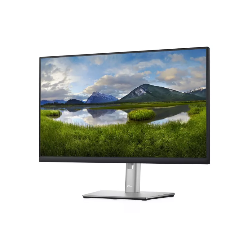 Monitor komputerowy DELL P Series P2422H 60,5 cm (23,8 cala) 1920 x 1080 pikseli Full HD LCD Czarny