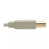 Kabel USB 2.0 A na B Tripp Lite U022-006-BE 6 stóp Beżowy