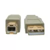 Kabel USB 2.0 A na B Tripp Lite U022-006-BE 6 stóp Beżowy
