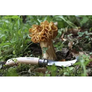Opinel nr 08 składany nóż do grzybów z pędzelkiem