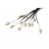 Digitus Pre-assembled Fiberglass Universal Breakout kabel Multi Mode OM4 12 Fibers LC/UPC 50m