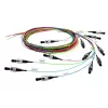 Kabel światłowodowy/InfiniBand Telegärtner 2 m 12x LC Wielokolorowy