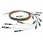 Telegärtner kabel InfiniBand/światłowodowy 2 m 12x SC Wielokolorowy