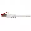 Kabel sieciowy EFB Elektronik K5518.25 RJ-45 Cat6 25 m biały