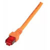 Kabel sieciowy EFB Elektronik K5516.50 RJ-45 Cat6 50 m Pomarańczowy
