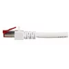 Kabel sieciowy EFB Elektronik K5518.50 RJ-45 Cat6 50 m Biały