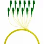 EFB Elektronik FTTH-PIGTAIL-LCA1 2m LC/APC 6x LC OS2 kabel światłowodowy