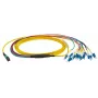 Kabel światłowodowy EFB Elektronik MTPF12LCOS2-1 1m