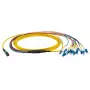 Kabel światłowodowy EFB Elektronik MTPF12LCOS2-2