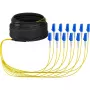 Kabel światłowodowy EFB Elektronik O8342S10OS2 12x LC OS2 10 m Czarny Niebieski Żółty