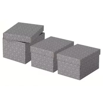 Pudełko do przechowywania Esselte 628281 szare prostokątne 200x255x150 mm