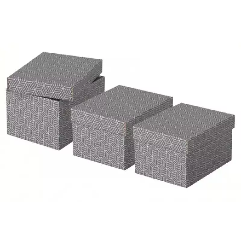 Pudełko do przechowywania Esselte 628281 szare prostokątne 200x255x150 mm