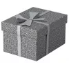 Pudełko do przechowywania Esselte 628281 szare prostokątne 200x255x150 mm