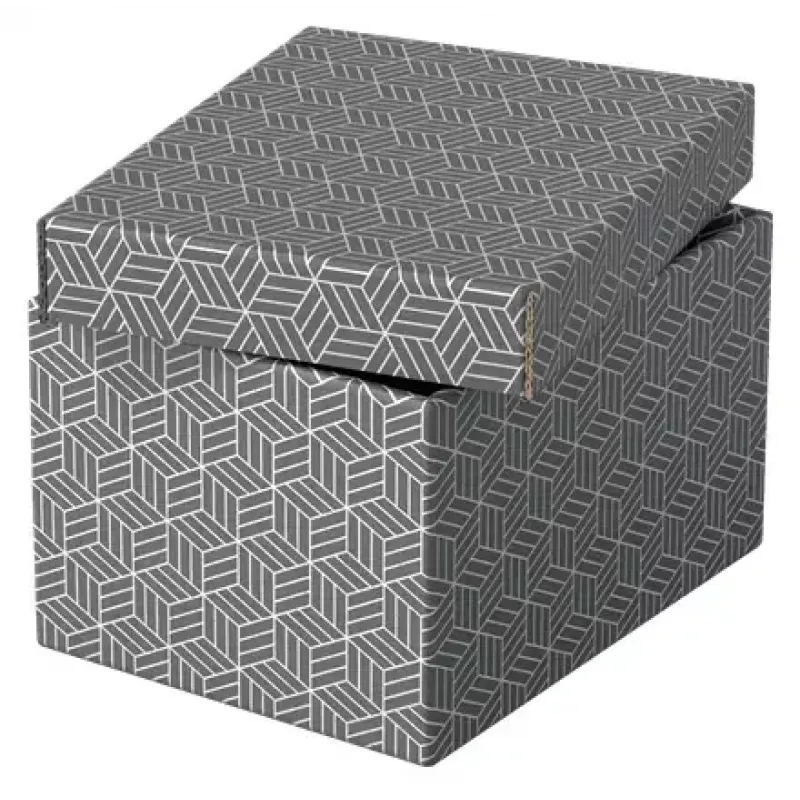Pudełko do przechowywania Esselte 628281 szare prostokątne 200x255x150 mm