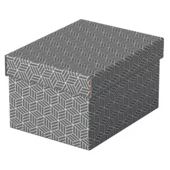 Pudełko do przechowywania Esselte 628281 szare prostokątne 200x255x150 mm