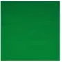 Camera Kit Walimex 16550 zielony Cotton 2850mm x 6000mm