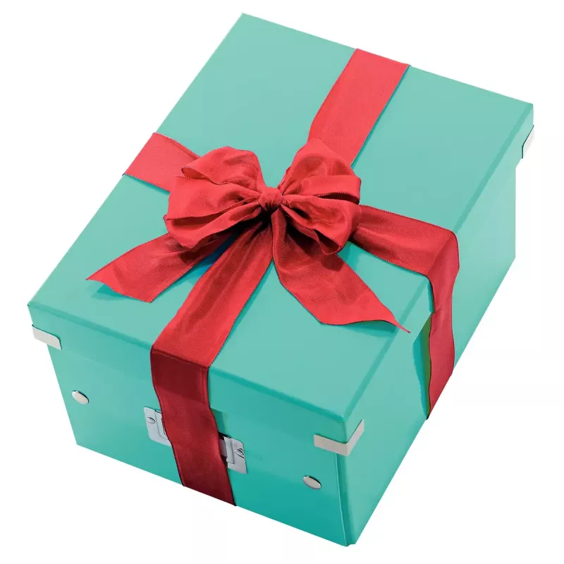 Pudełko do przechowywania Leitz Click & Store Medium Box