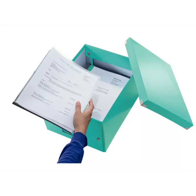 Pudełko do przechowywania Leitz Click & Store Medium Box