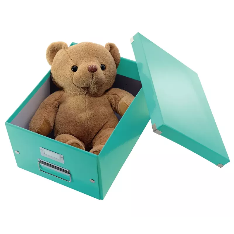 Pudełko do przechowywania Leitz Click & Store Medium Box