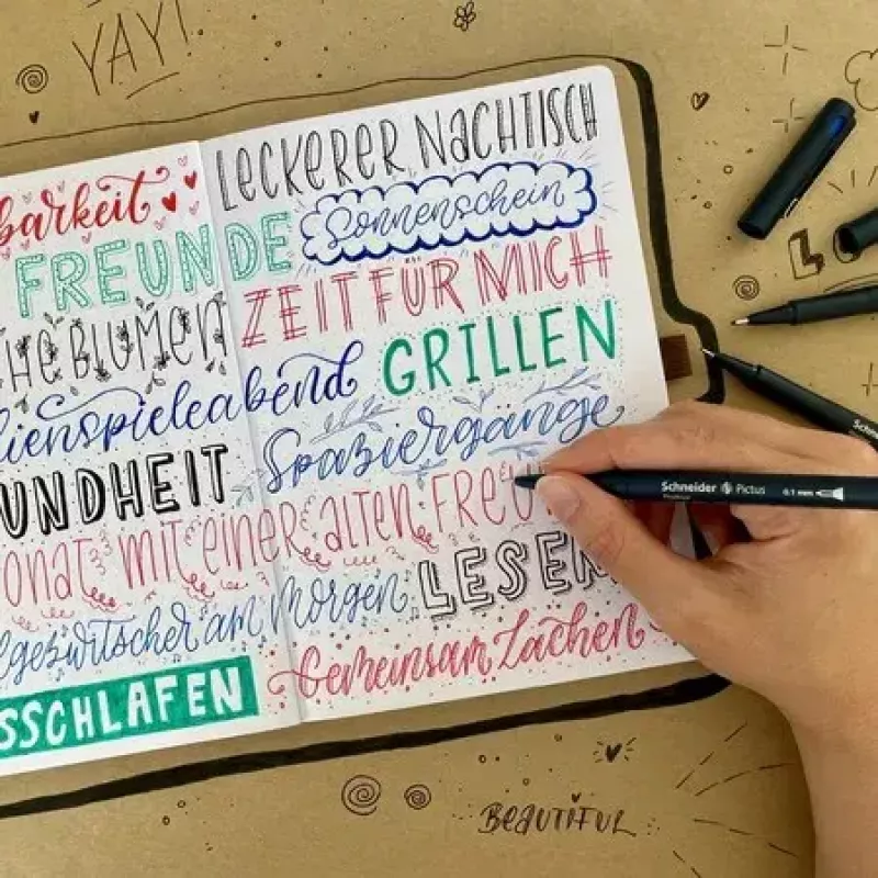 Fineliner Schneider Schreibgeräte Pictus Czarny Niebieski Zielony Czerwony 5 szt.