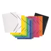 Folder Pagna 21613-19 Polipropylen (PP) Guma Transparentny A4