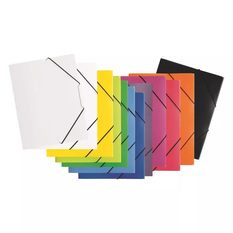 Folder Pagna 21613-19 Polipropylen (PP) Guma Transparentny A4