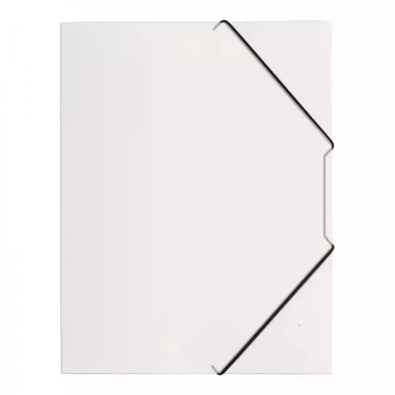 Folder Pagna 21613-19 Polipropylen (PP) Guma Transparentny A4