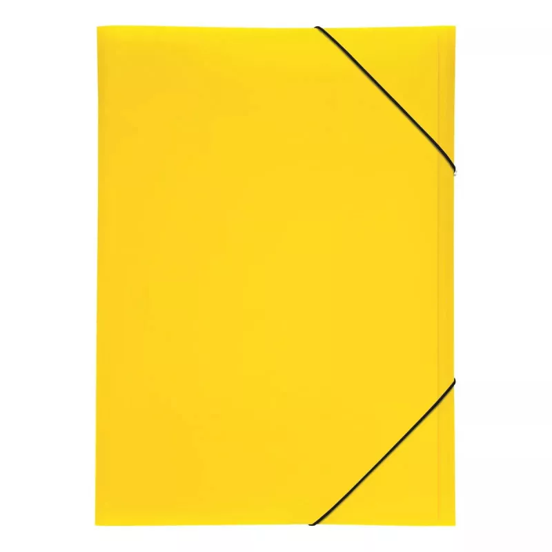 Folder Pagna 21638-04 Polipropylen PP Żółty A3