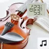 Bezprzewodowy wolnostojący wewnętrzny czujnik temperatury i wilgotności TFA-Dostmann 30.5055.02