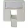 Płytka czołowa 50×50 mm do AMJ45 8/8 UP/O, Telegärtner, biel alpejska