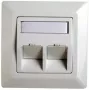 Ramka adaptacyjna RJ45 kat.5e Telegärtner H02010A0040 45° podwójna 80x80 mm biel alpejska