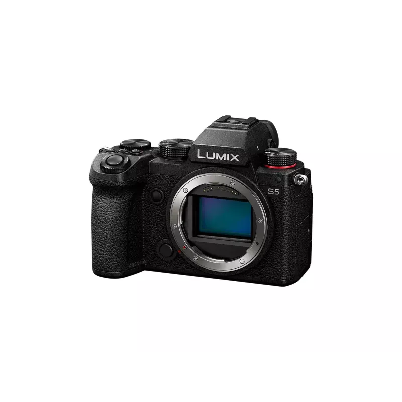 Korpus bezlusterkowca Panasonic Lumix S5 24,2 MP CMOS 4K Ultra HD
