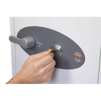 Wolnostojący sejf Phoenix Safe Co. FS1282K