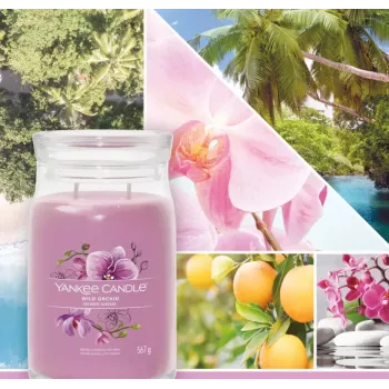 Świeca woskowa Yankee Candle Wild Orchid Wysokość 157 mm Szerokość 93 mm