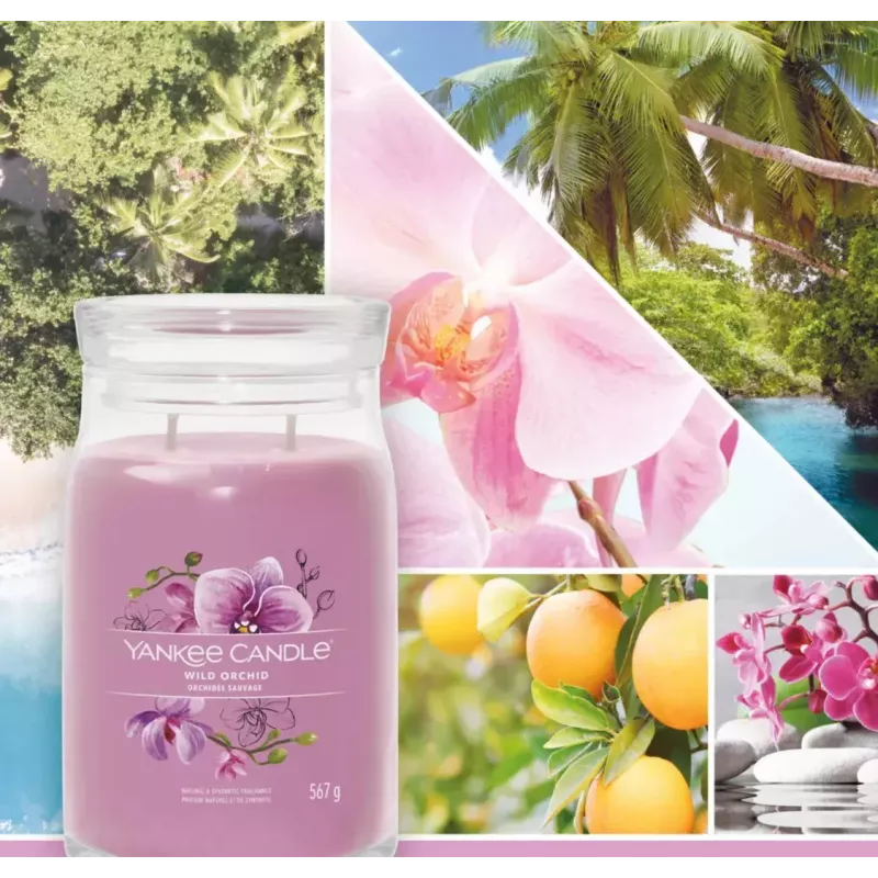 Świeca woskowa Yankee Candle Wild Orchid Wysokość 157 mm Szerokość 93 mm