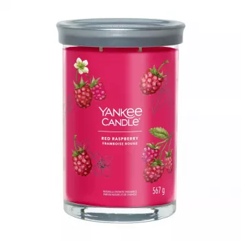 Wax Candle Cylinder Yankee Candle 1724404E Height 149mm Diameter 9.9cm