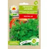 Nasiona Toraf pietruszka naciowa Festival 68 (Petroselinum crispum) świeże nasiona ziół 7 m rząd
