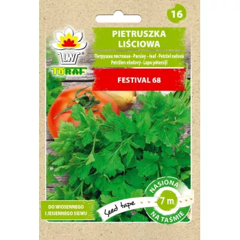 Nasiona Toraf pietruszka naciowa Festival 68 (Petroselinum crispum) świeże nasiona ziół 7 m rząd